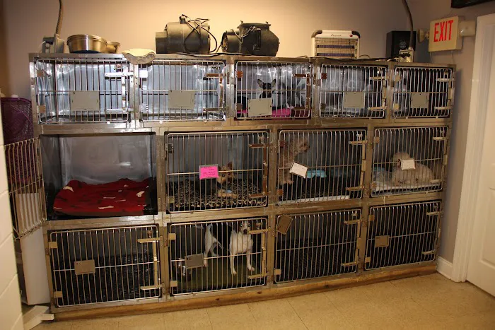 Dallas Highway Animal Hospital 12
