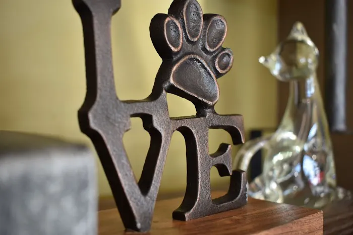 Community Animal Clinic 2