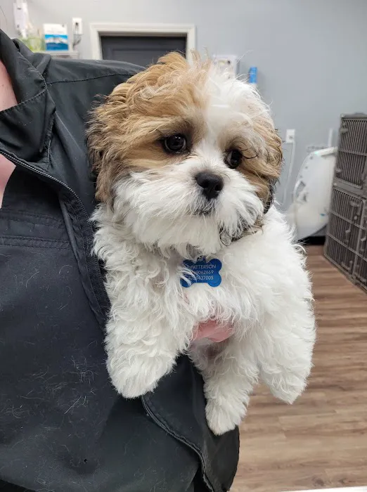 Community Animal Clinic 8