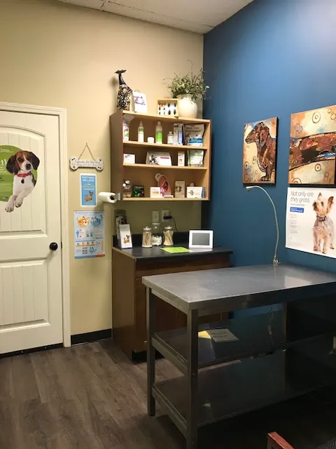Community Animal Clinic 10