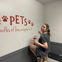 Mills Animal Hospital Marietta ico