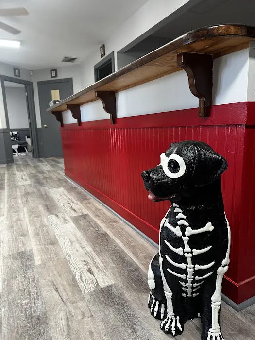 Mills Animal Hospital Marietta 12