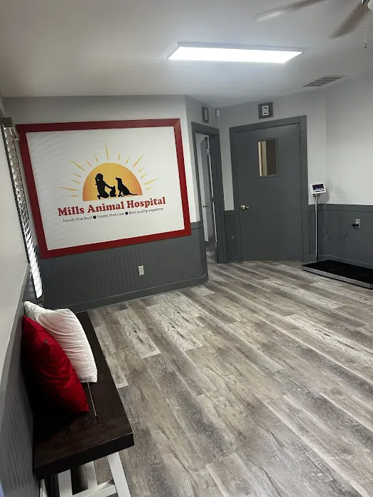 Mills Animal Hospital Marietta 12