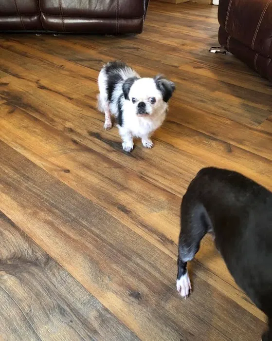 New Georgia Animal Hospital 3