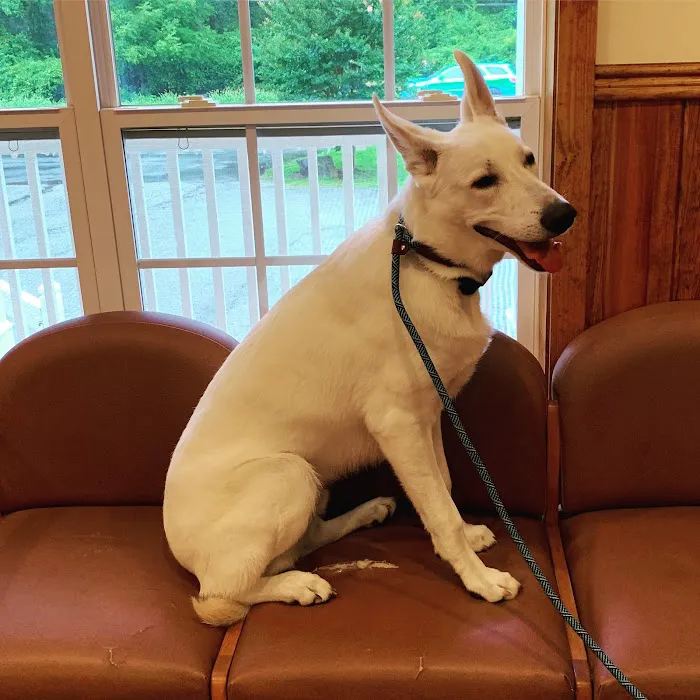 New Georgia Animal Hospital 9