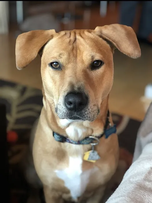 New Georgia Animal Hospital 8