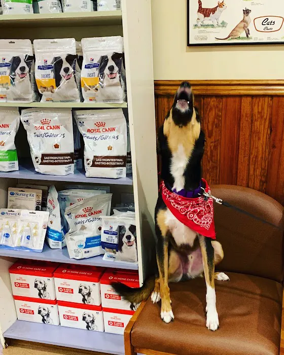 New Georgia Animal Hospital 10