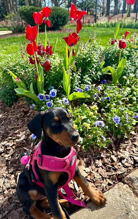 PetSmart Veterinary Services - Smyrna 6