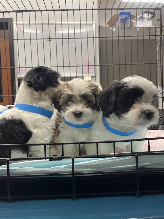 PetSmart Veterinary Services - Smyrna 9