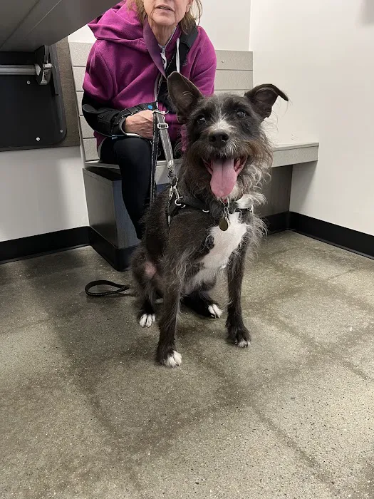 PetSmart Veterinary Services - Smyrna 7