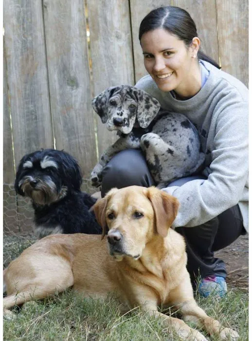 The Ark Animal Hospital 5