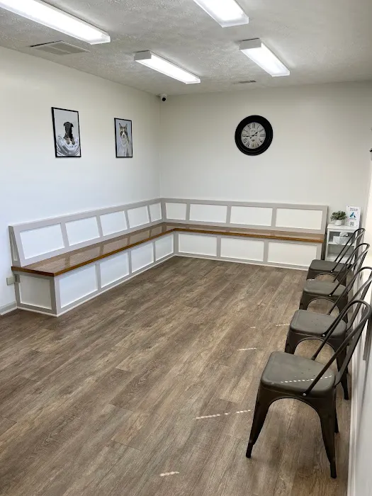 Paulding Animal Clinic 1