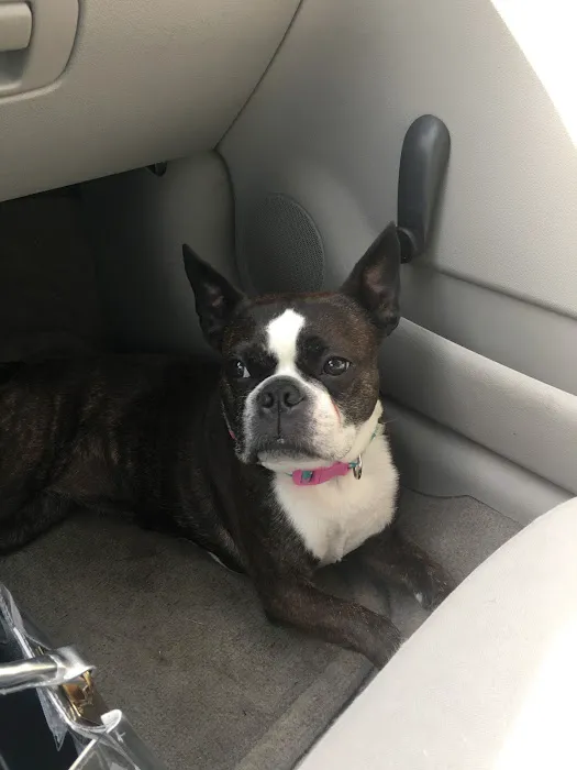 Paulding Animal Clinic 5