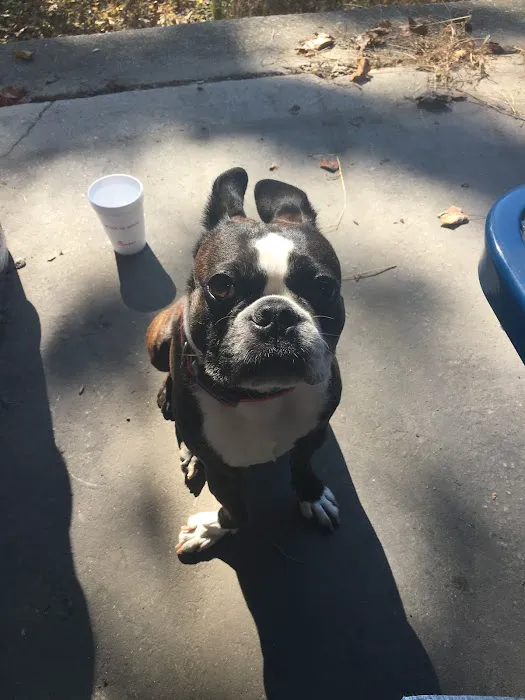 Paulding Animal Clinic 9