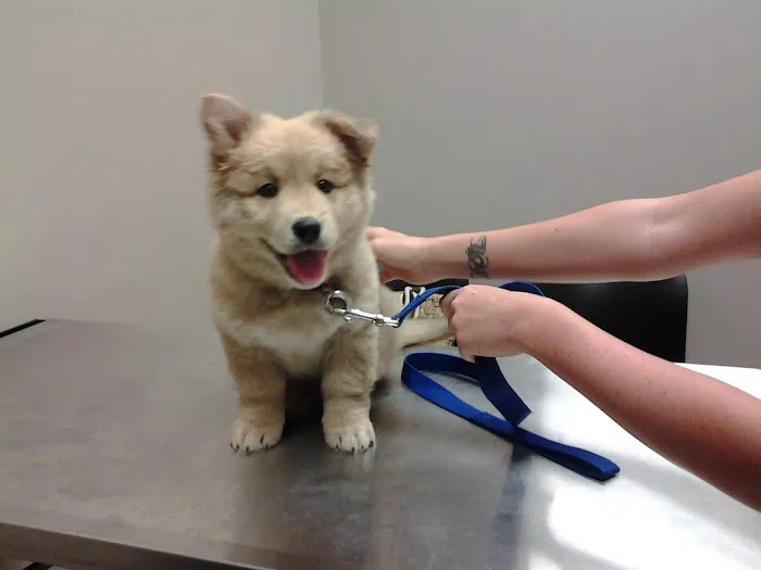 Mirror Lake Animal Hospital 2