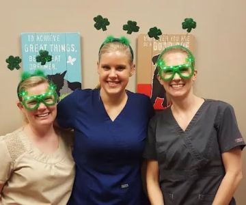 Mirror Lake Animal Hospital