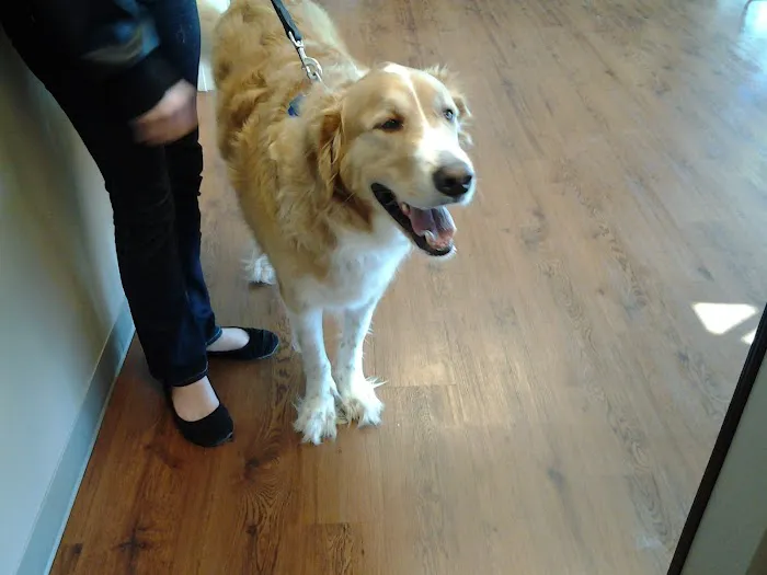 Mirror Lake Animal Hospital 7