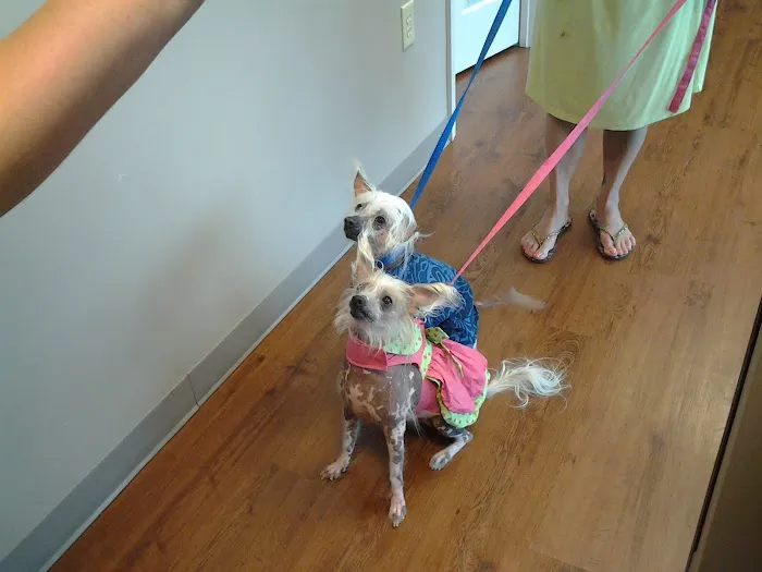 Mirror Lake Animal Hospital 5