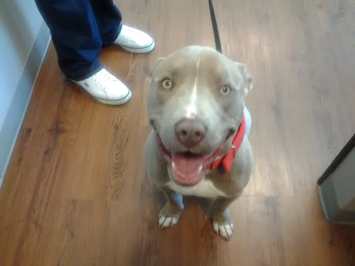 Mirror Lake Animal Hospital 10