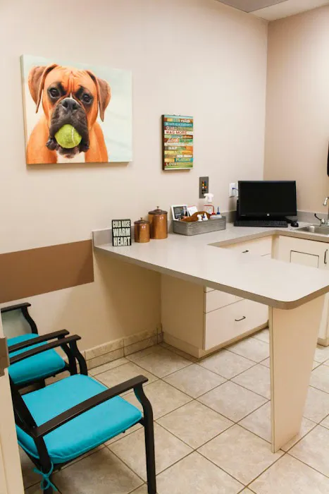 VCA Terrell Mill Animal Hospital 12