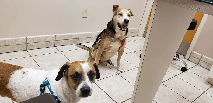 VCA Terrell Mill Animal Hospital 12