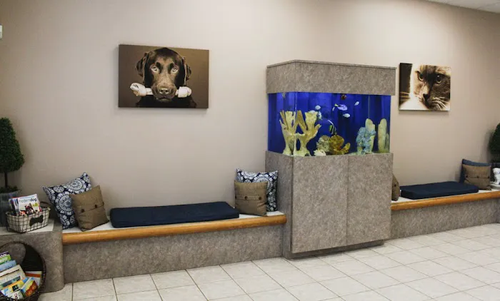 VCA Terrell Mill Animal Hospital 12