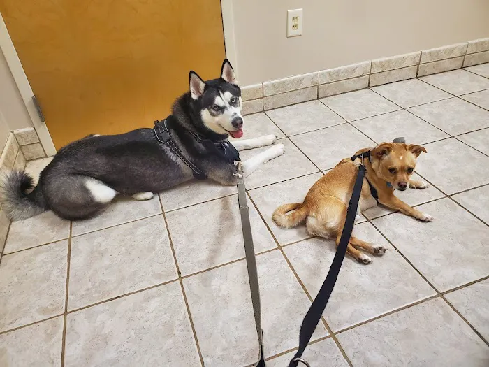 VCA Terrell Mill Animal Hospital 12