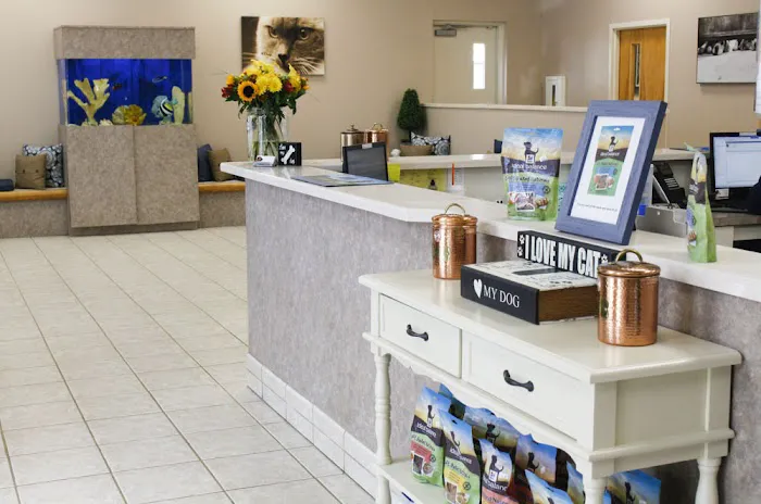 VCA Terrell Mill Animal Hospital 12