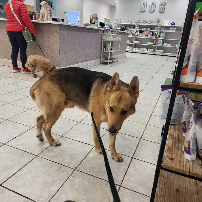 VCA Terrell Mill Animal Hospital 12