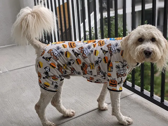 Collier Animal Hospital 2