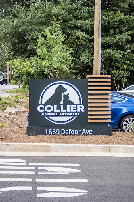 Collier Animal Hospital 6