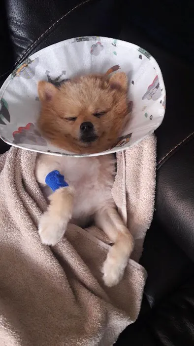 VCA Animal Emergency Center 1