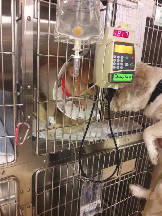 VCA Animal Emergency Center 4