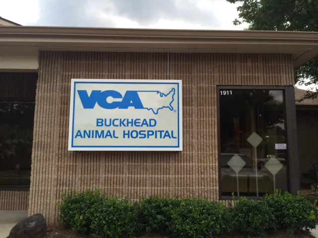 VCA Buckhead Animal Hospital 1