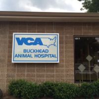VCA Buckhead Animal Hospital ico