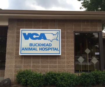 VCA Buckhead Animal Hospital