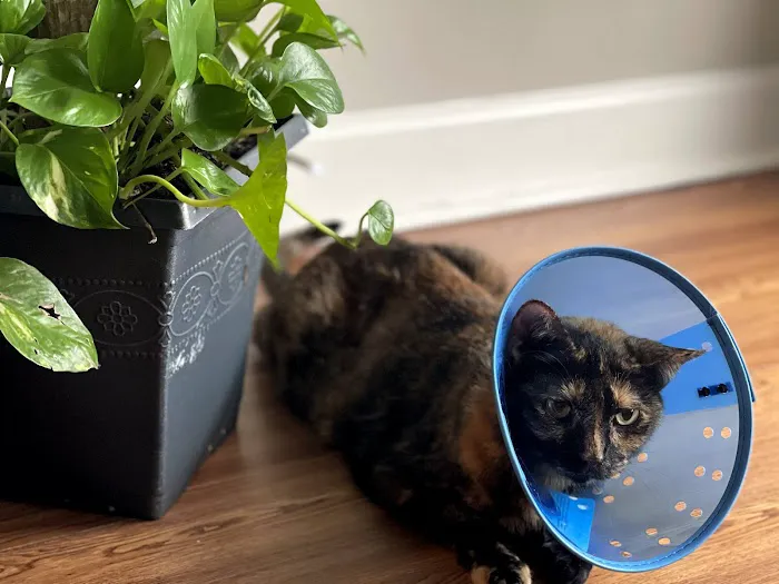 Banfield Pet Hospital 2