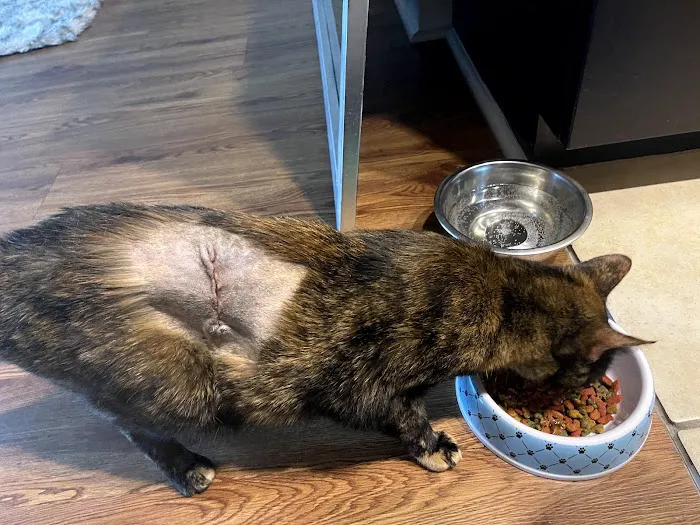 Banfield Pet Hospital 3