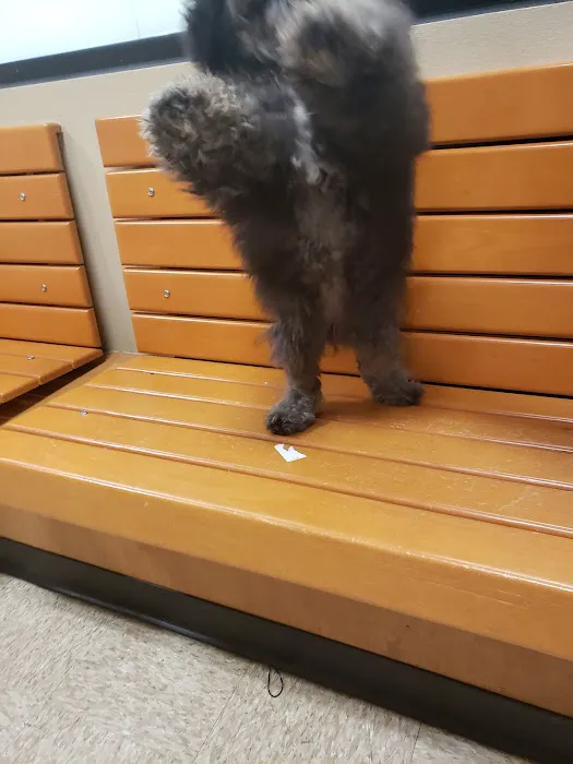 Banfield Pet Hospital 6
