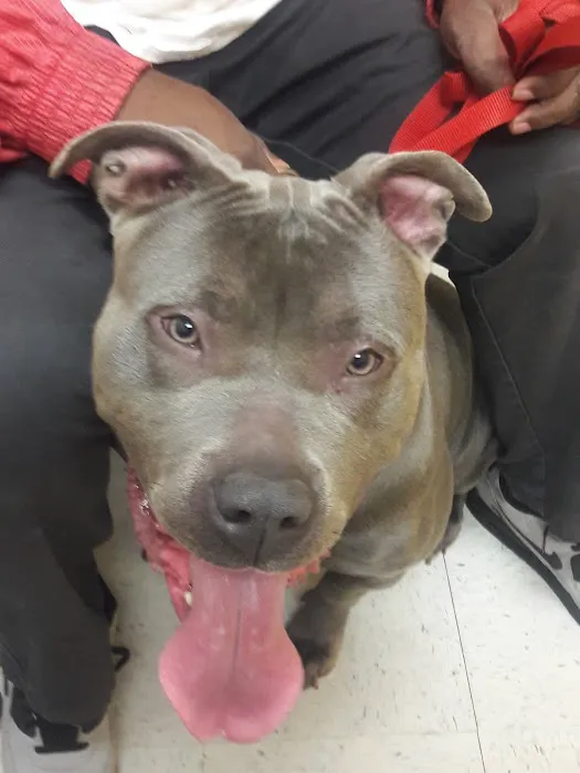 Banfield Pet Hospital 7