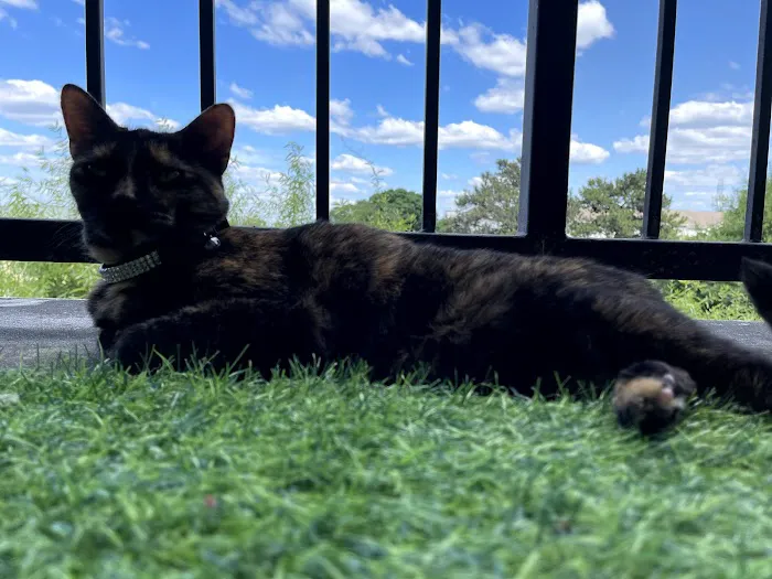 Banfield Pet Hospital 5