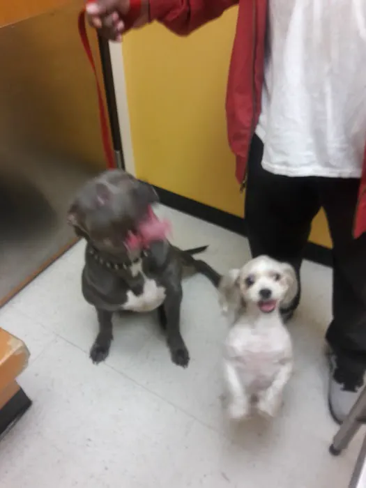 Banfield Pet Hospital 8