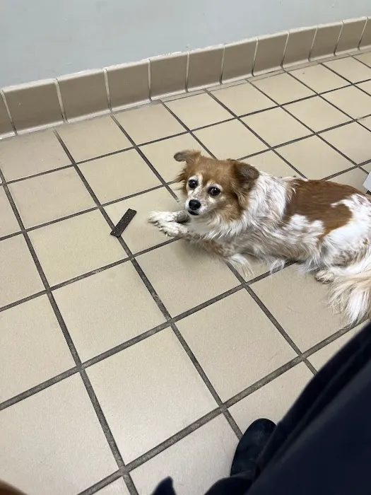 Pharr Road Animal Hospital 2
