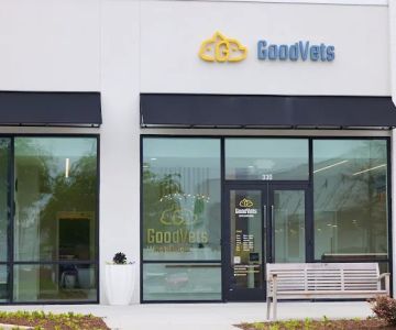 GoodVets West Buckhead