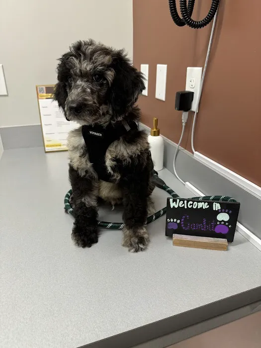 GoodVets West Buckhead 6