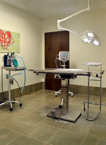 BuckHaven Veterinary Clinic 10