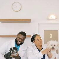 GoodVets Toco Hills ico