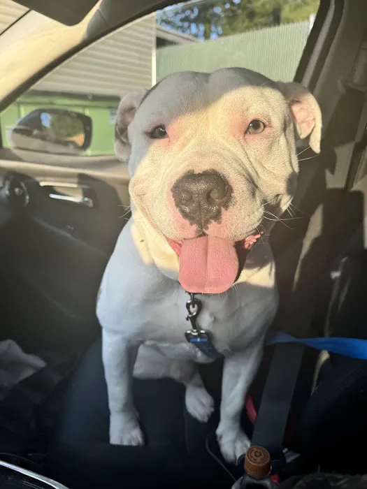 West Georgia Spay Neuter Clinic 2