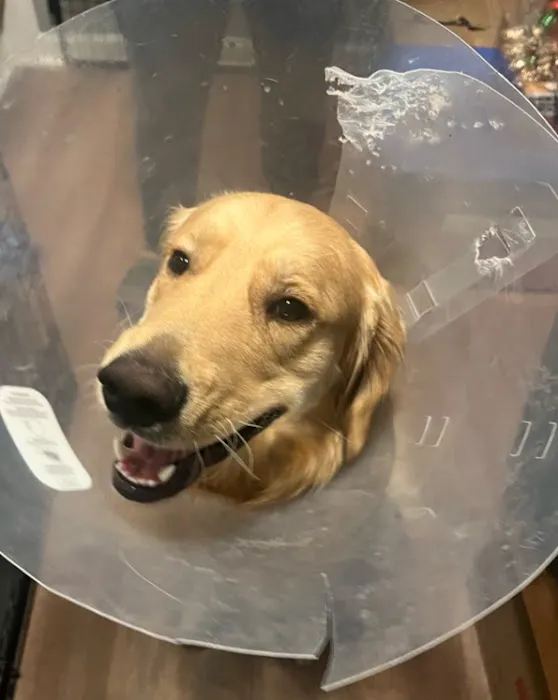West Georgia Spay Neuter Clinic 3