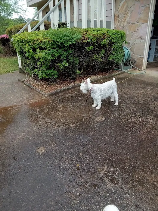 West Georgia Spay Neuter Clinic 5